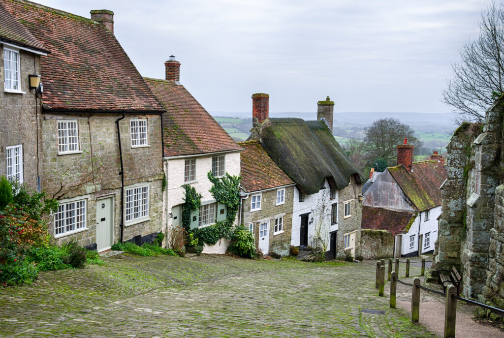 Charming Cotswold village houses with traditional thatched roofs and cobbled streets, ideal for property investment and heritage property enthusiasts.