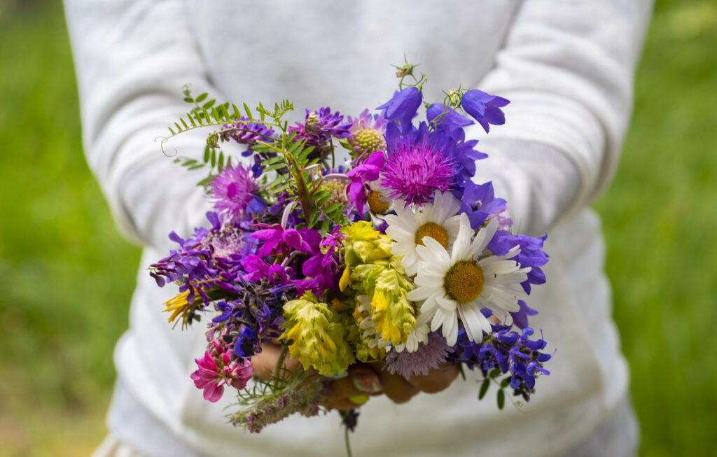 A vibrant bouquet of mixed flowers including daisies, lavender, and pink blooms, symbolising remembrance and love for someone who has passed away.