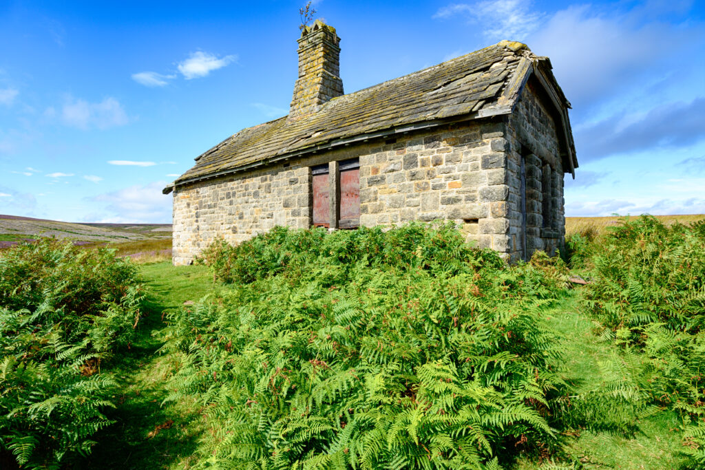 Abandoned stone house surrounded by dense ferns and greenery, set in a rural landscape under a bright blue sky, highlighting potential property sale opportunities at auction.