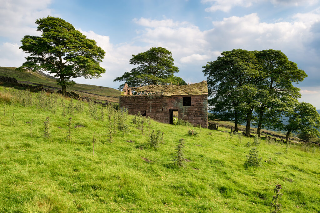 Rural landscape with an abandoned stone building, lush green field, and tall trees under a partly cloudy blue sky.