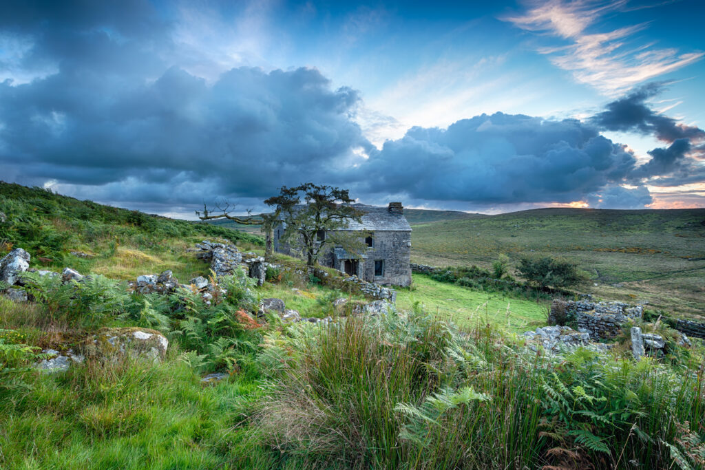 Overgrown abandoned stone house in a green rural landscape with cloudy sky, illustrating property restoration or renovation challenges.