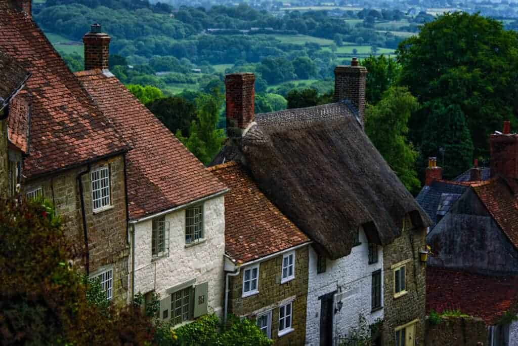 Thatched roof cottage with surrounding greenery in a rural village, traditional English countryside home, historic stone buildings, lush landscape, roof repairs and maintenance, property preservation, picturesque village scenery.