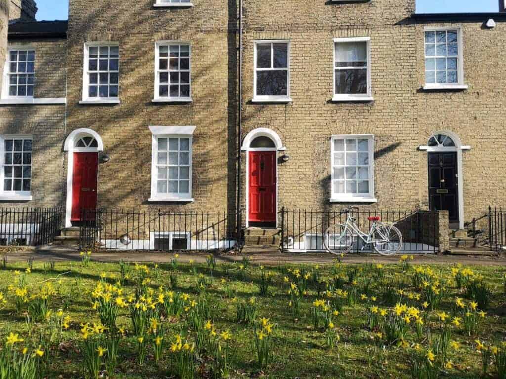 Terraced brick houses with red and black doors, white-framed windows, a white bicycle, and a grass lawn with blooming daffodils.