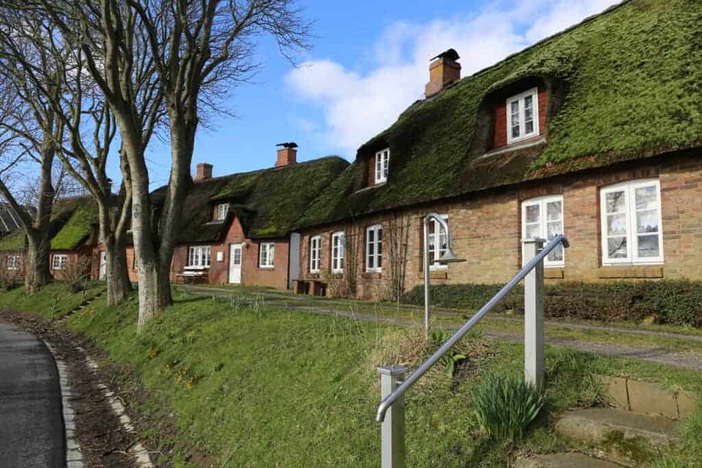 A picturesque row of traditional cottages with lush green roofs and white-framed windows, set along a peaceful street with trees and a clear blue sky in the background.