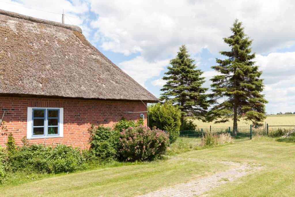 Traditional thatched-roof brick cottage beside pine trees in a grassy landscape under a cloudy sky.