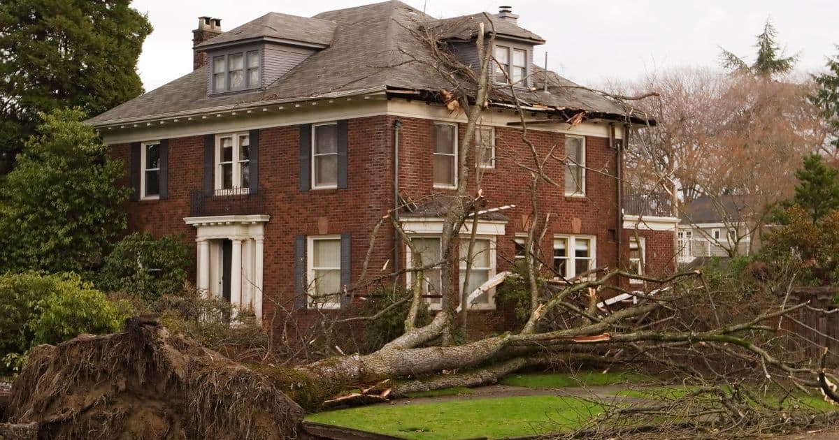 Large tree fallen on brick house roof and garden, causing significant damage, surrounded by trees and overcast sky.