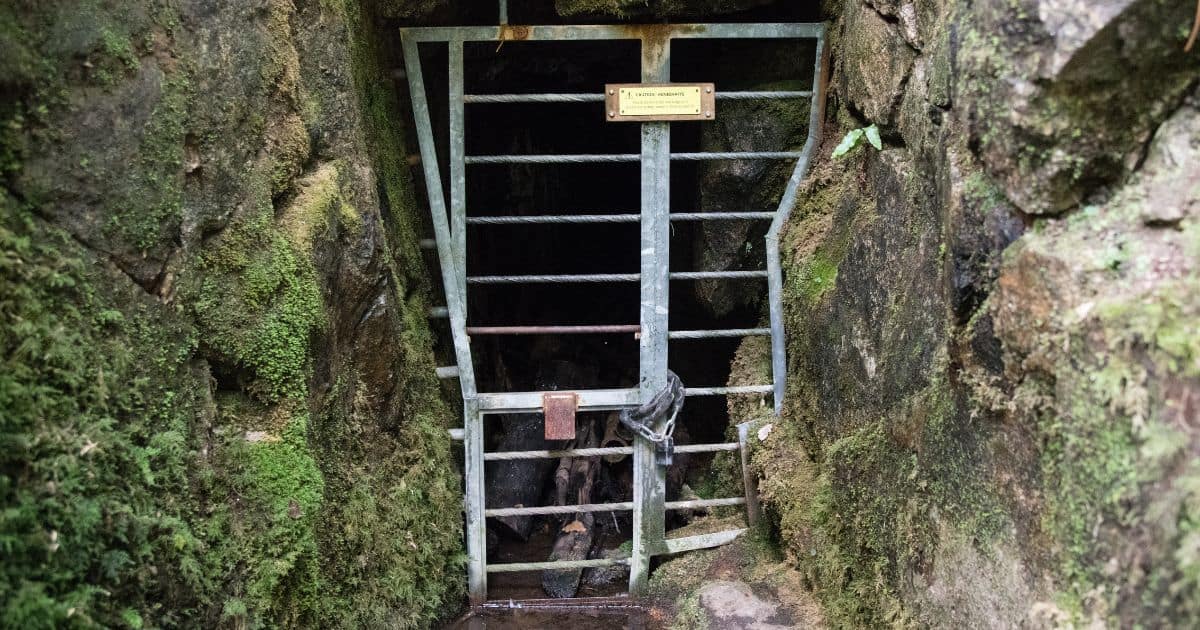 Rustic metal gate blocking a stone tunnel entrance, surrounded by moss-covered rocks, hinting at a historic site.